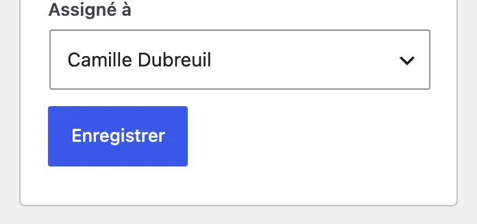Champ « Assigné à » : Camille Dubreuil.