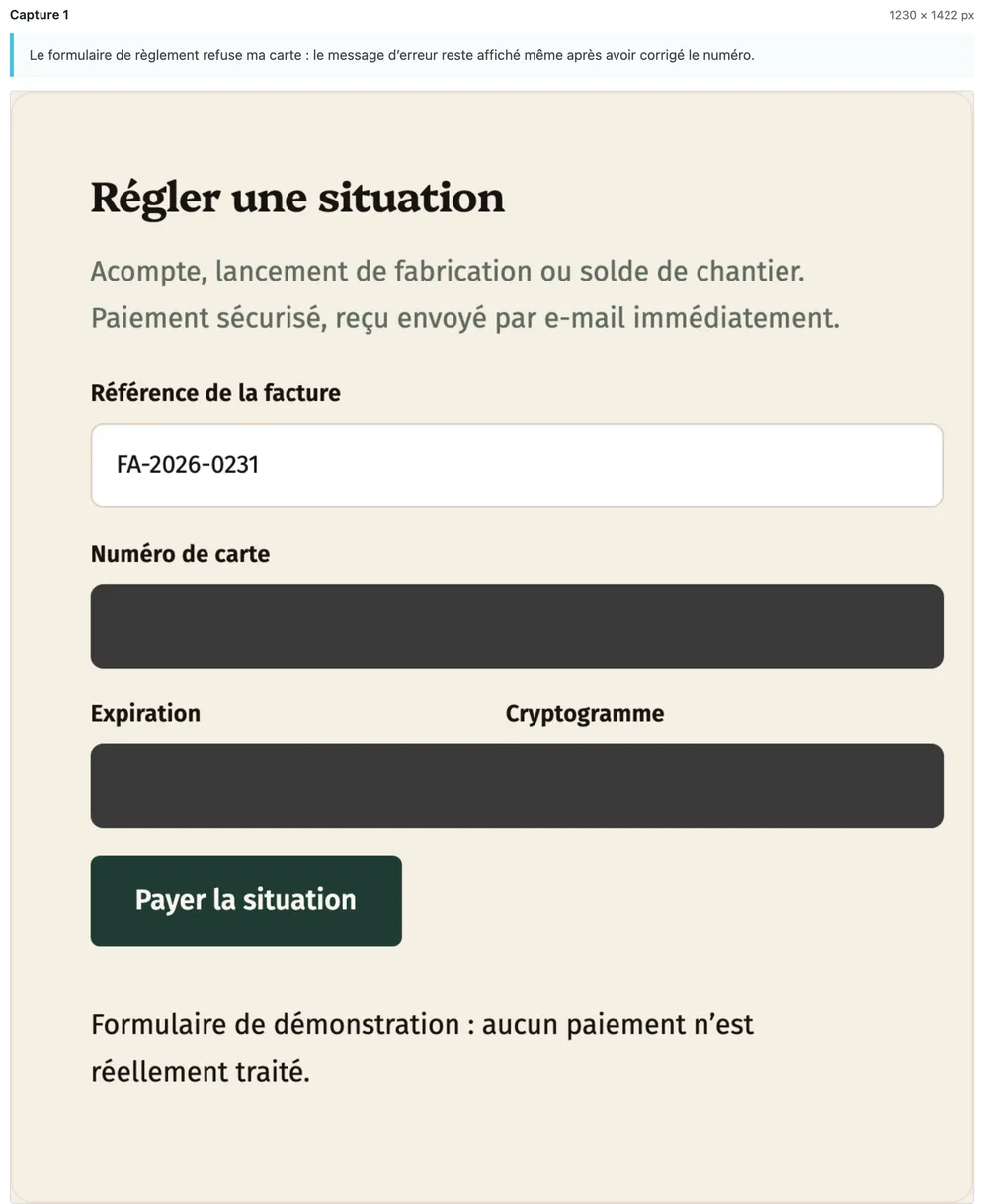 Capture stockée du formulaire « Régler une situation » : le numéro de carte et le cryptogramme sont entièrement noircis.