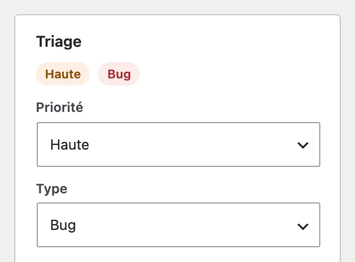 Carte « Triage » : priorité « Haute » et type « Bug ».
